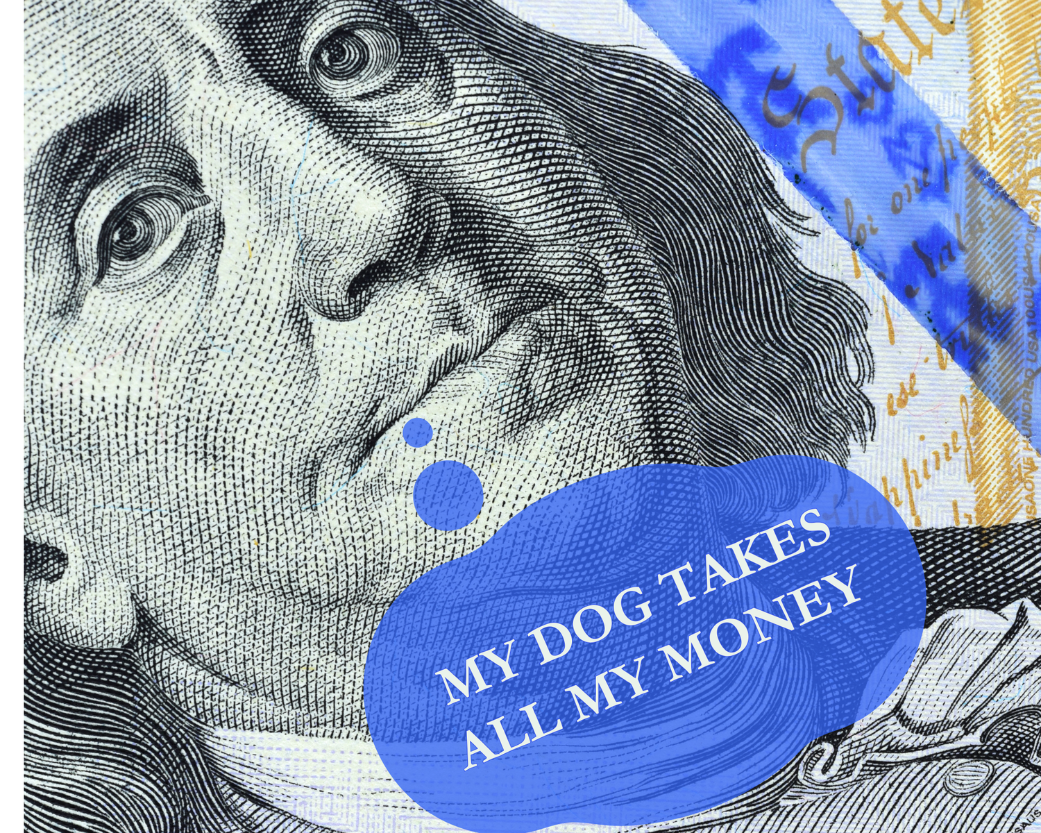 The Financially Irresponsible Collection